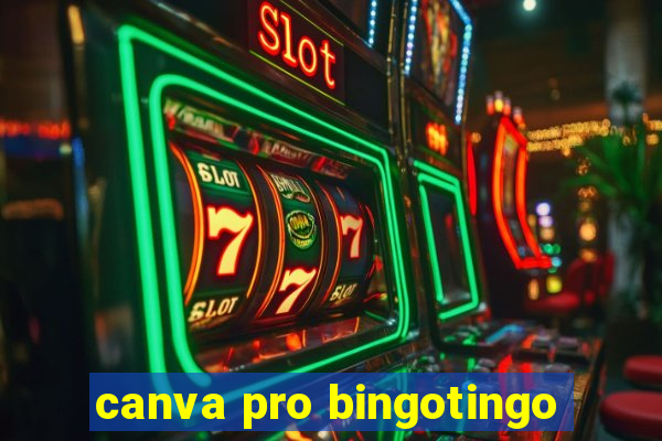 canva pro bingotingo